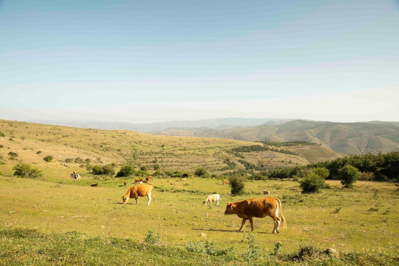 Casa Rural El Huerto De La Fragua Guest House Enciso Eksteriør bilde