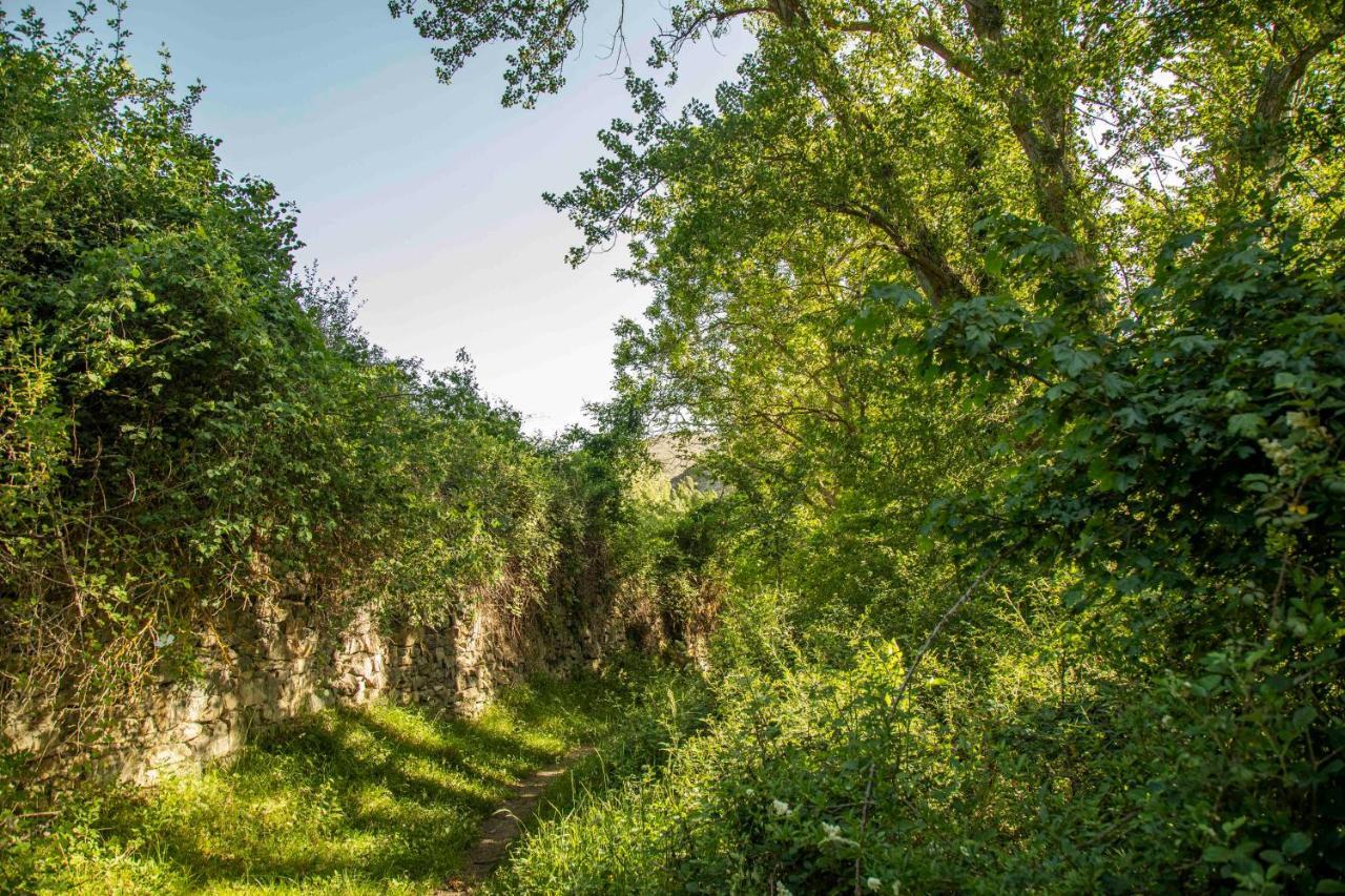 Casa Rural El Huerto De La Fragua Guest House Enciso Eksteriør bilde