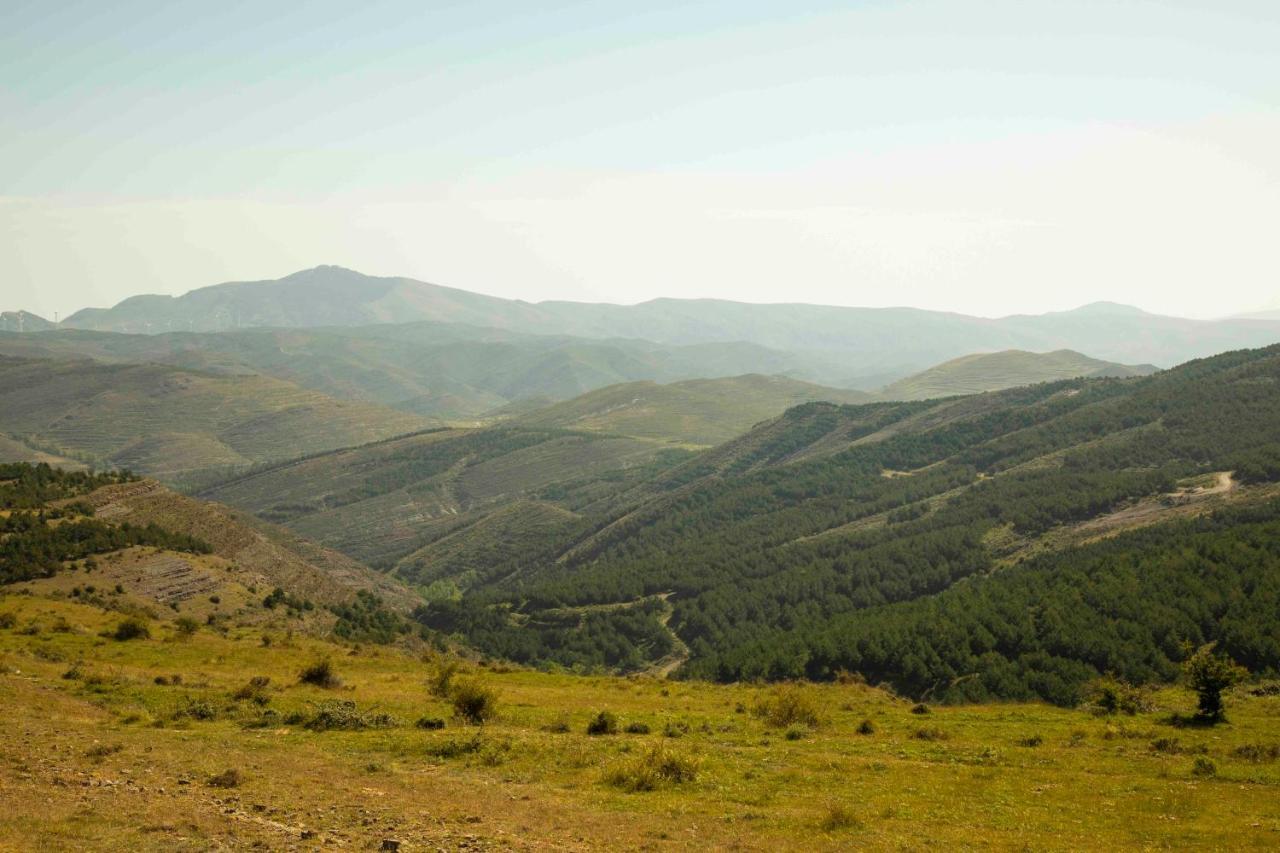 Casa Rural El Huerto De La Fragua Guest House Enciso Eksteriør bilde