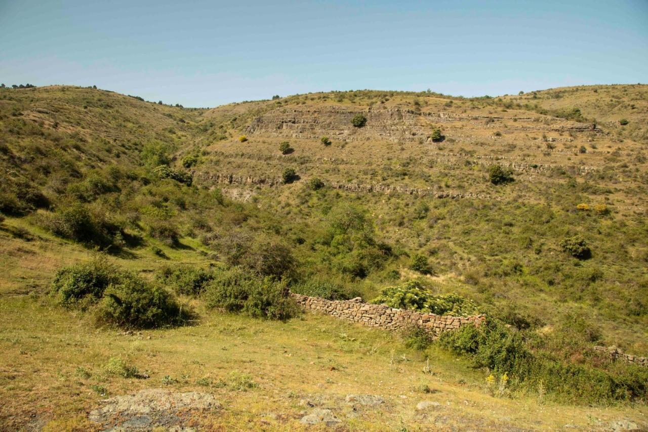 Casa Rural El Huerto De La Fragua Guest House Enciso Eksteriør bilde